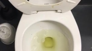POV of me Pissing into a very disgusting toilet at work. People need to clean up after themselves. 