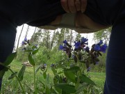 Mature BBW outdoor pissing and hairy pussy POV. 9/16