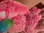 Coming on my fluffy toy