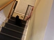Fat girl on the steps