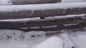 парня спалили за дрочкой в лесу