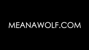 Trouble - Meana Wolf
