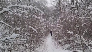 NEW! Japan Style (BLUR PORN) PISSING # Action is on Japan National Park Trail at temperature -15C