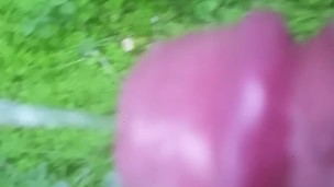 Piss walking in backyard