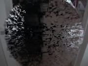 lea train richie for riding 16/16