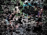 brat girls dog education outdoor 1/16