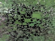 brat girls dog education outdoor 16/16