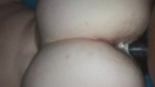 P.a.w.g bouncing preview