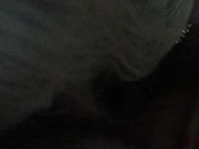 LAST PUNTER OF THE DAY 2/16