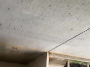 Caminamos por el parqueadero con el Lush activado, miren su reacción! 16/16