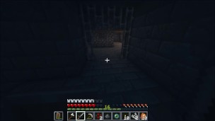 Buscando el Portal al End