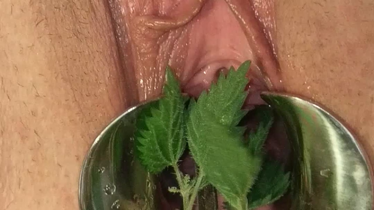 БДСМ пытки киски растянутая крапива в ее уретре и , писсинг - RedTube