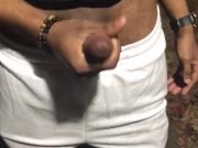 Whipping out my cock in the park