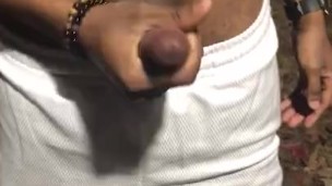 Whipping out my cock in the park