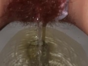 Moon Princess Pee Break and Bush 12/16