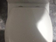 Flushing A Toilet (Portrait)