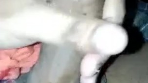 Amazing Asian 