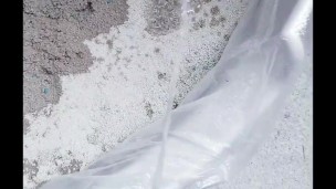 Flooding the Litter Box Compilation Teaser