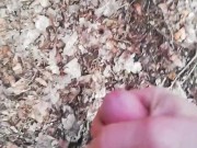 Outside  - Screenshot 15 of 16 - Sloppy Dick