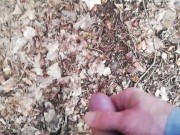 Outside  - Screenshot 3 of 16 - Sloppy Dick