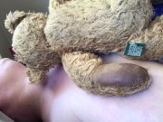 New toys for Teddy and me 13/16