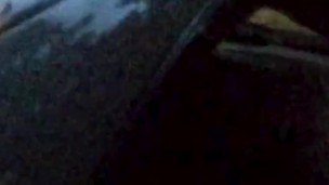 Быстрый публичный секс на автотрассе