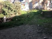 FOLLAMOS EN CASA ABANDONADA  1/16