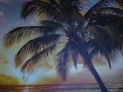 POV Sam Singh Riding Your Cock 5/16