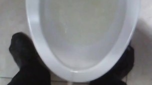 POV Peeing and Flushing & Unzipping and Zipping One-Handed n A Stall; No Audio