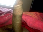 Stroking my BBC in the Morning  11/16