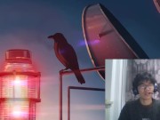 2021/2月——这女的到底带不带把，我看是带把的吧？ 1/16