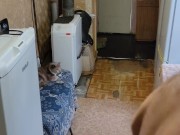 Morning affairs. 3/16