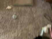 Peeing  - Screenshot 1 of 16 - HD