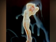 Рыжеволосая Милфа Мамуля и очень много камшотов [Пинап + рассказ про минет]