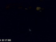 solo men - Screenshot 14 of 16 - Sperm