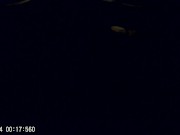 solo men - Screenshot 15 of 16 - Russian Homemade