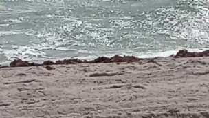 Nude beach