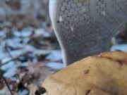 Food crush under my shoes
