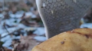 Food crush under my shoes