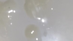Saturday this morning quick nut in the sink