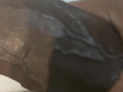 nutty buddy - Screenshot 16 of 16 - HD