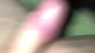 Jerking off in bed with a thick cock and cumming
