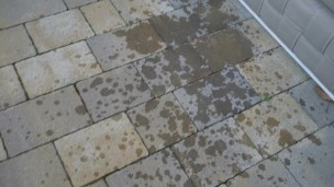 Hammer Squirting Mega spritzig ich bewässere den Garten