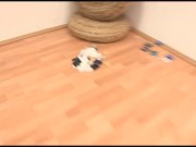 At just 20, Vivi wants to enjoy HER FIRST GANGBANG!! 16/16