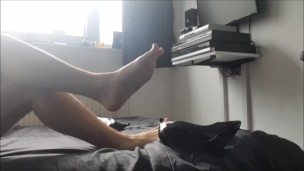 Squeaky Playtime