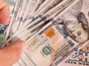 Hot Travel agent gets cream pie for $1000 US dollars  7/16