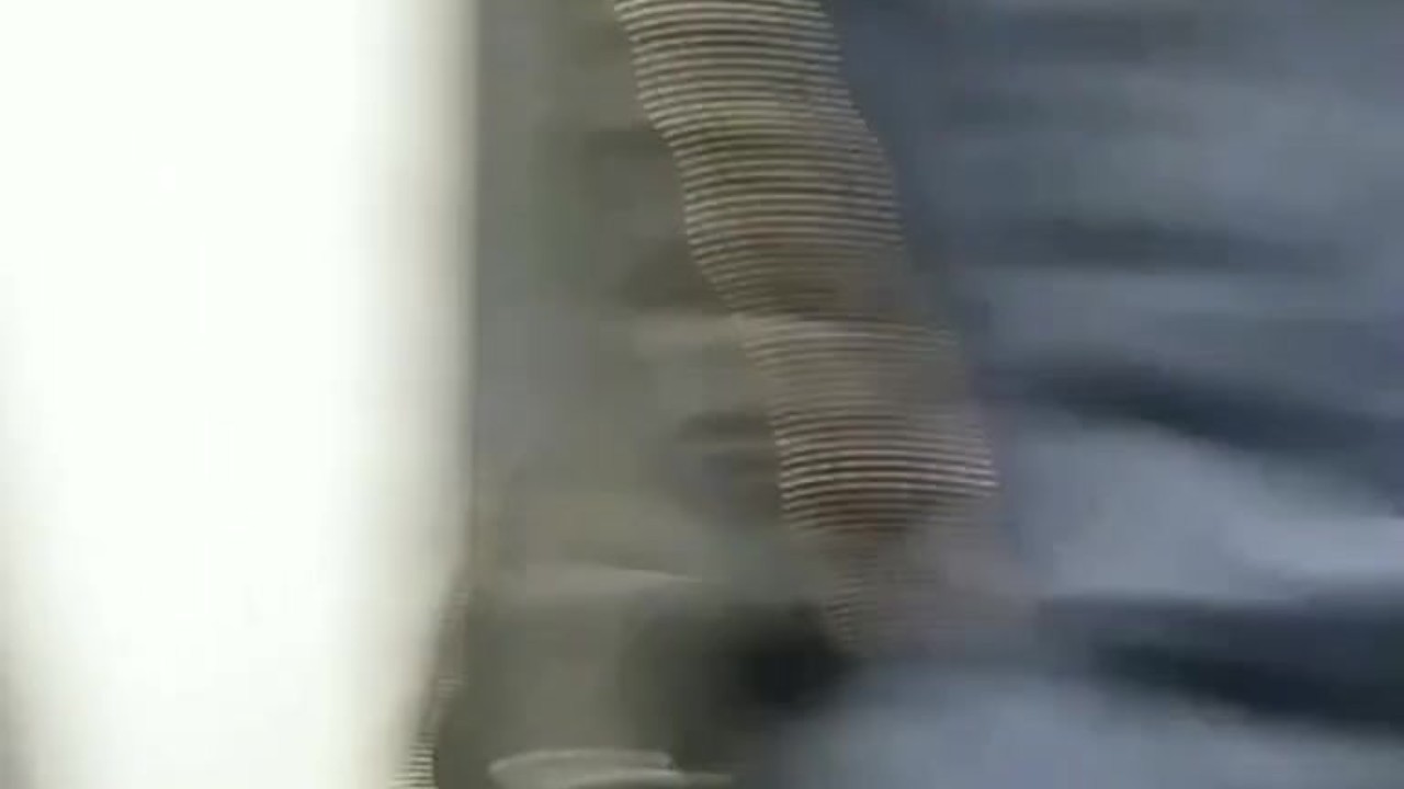 Caught jerking off on elevator - Free Sex Video - RedTube