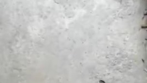 Tu morenito rico