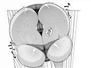 Because It's You, Shorty - Thick tomboy gives virginity to short king 8/16