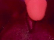 BLACK PUSSY WANTS WHITE DICK🤤